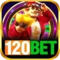 120bet VIP New
